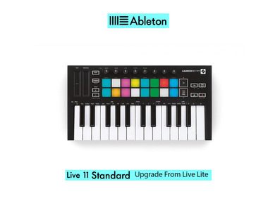 Novation Launchkey Mini MK3 with Live 11 Standard UPG from Live Lite