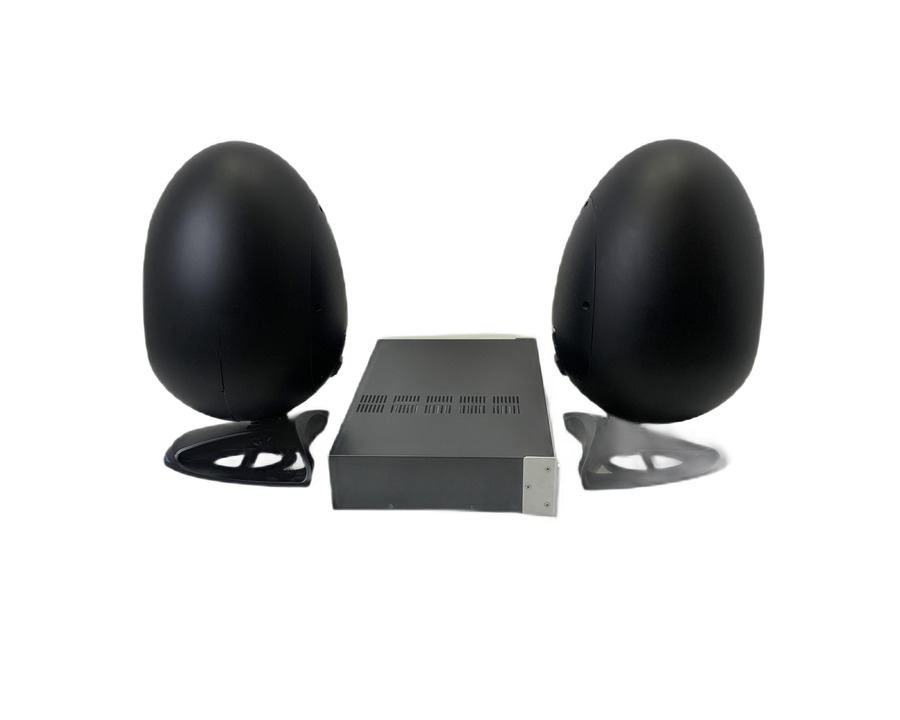 SE Electronics Munro Medium Egg 150 System